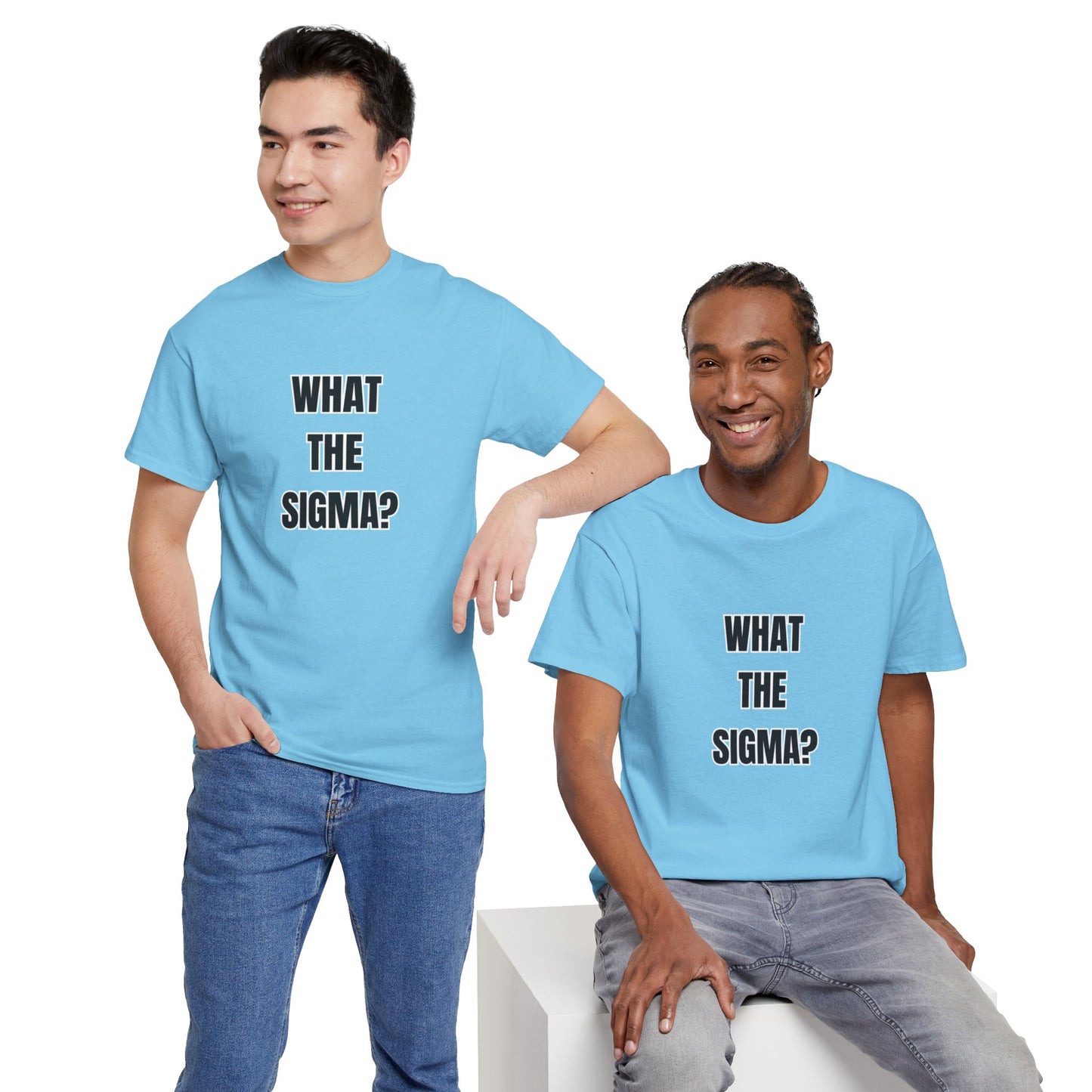 'WHAT THE SIGMA' classic brainrot tee