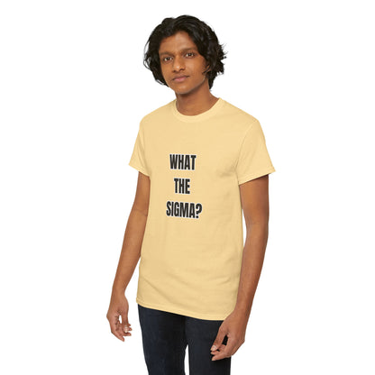 'WHAT THE SIGMA' classic brainrot tee