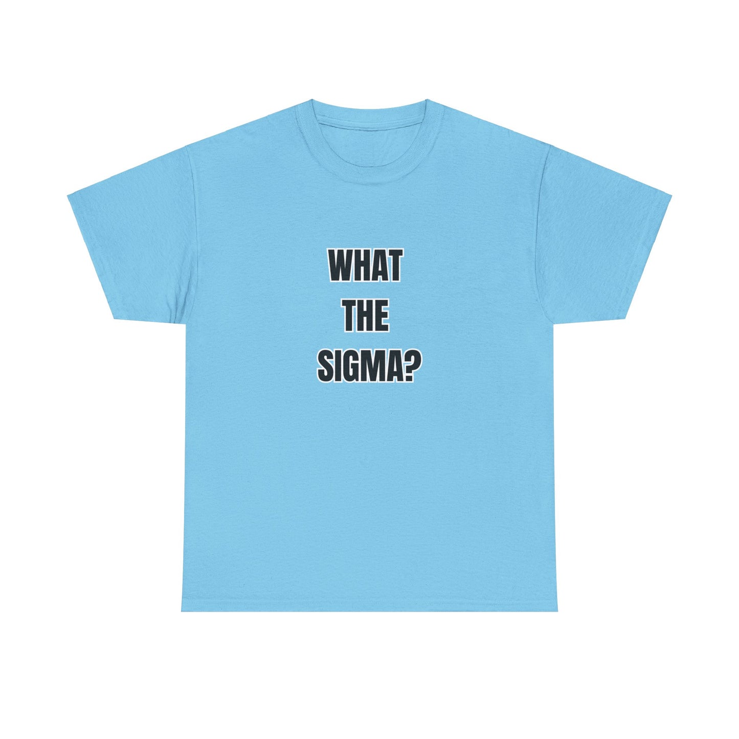 'WHAT THE SIGMA' classic brainrot tee