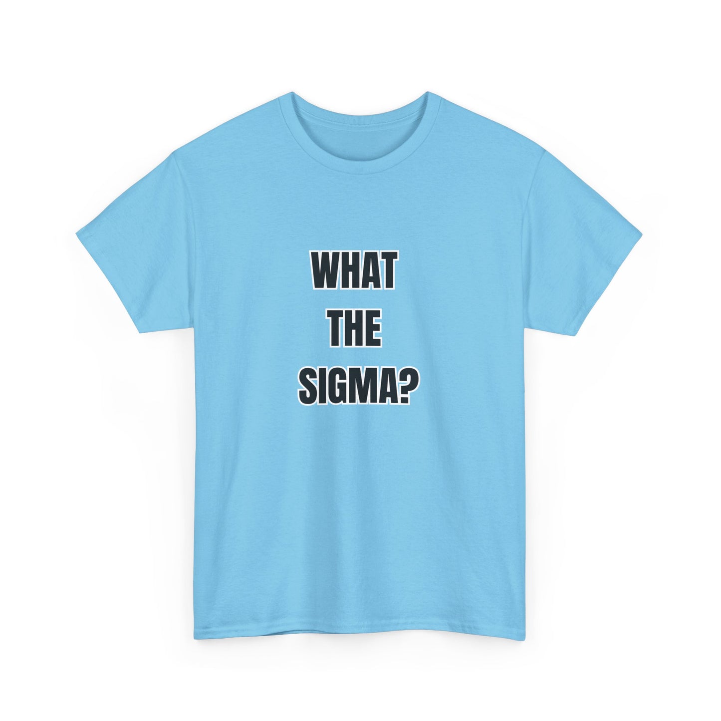 'WHAT THE SIGMA' classic brainrot tee